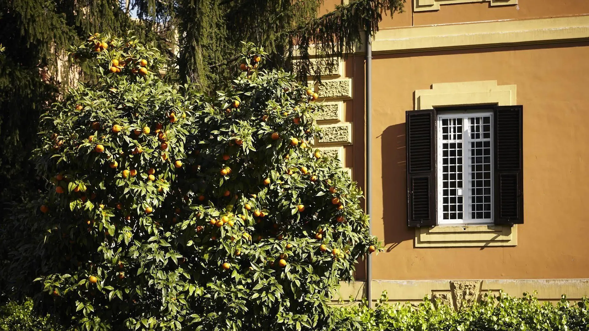 21 Aprile House Bed & Breakfast Rome 2*,